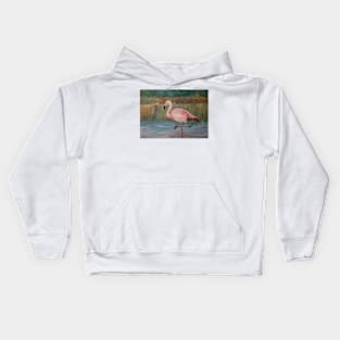 Pink flamingo on the Muga River Kids Hoodie